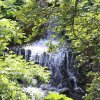 IMG_7353
